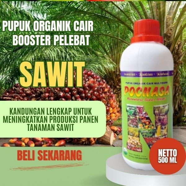 Pupuk Sawit Pillow / Pupuk Sawit Pertumbuhan / Pupuk Sawit Premium / Pupuk Sawit Cepat Berbuah