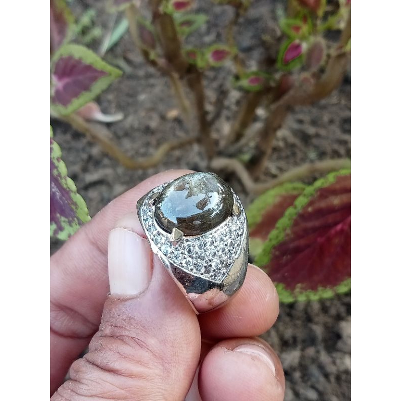 Bangsing nilam black star