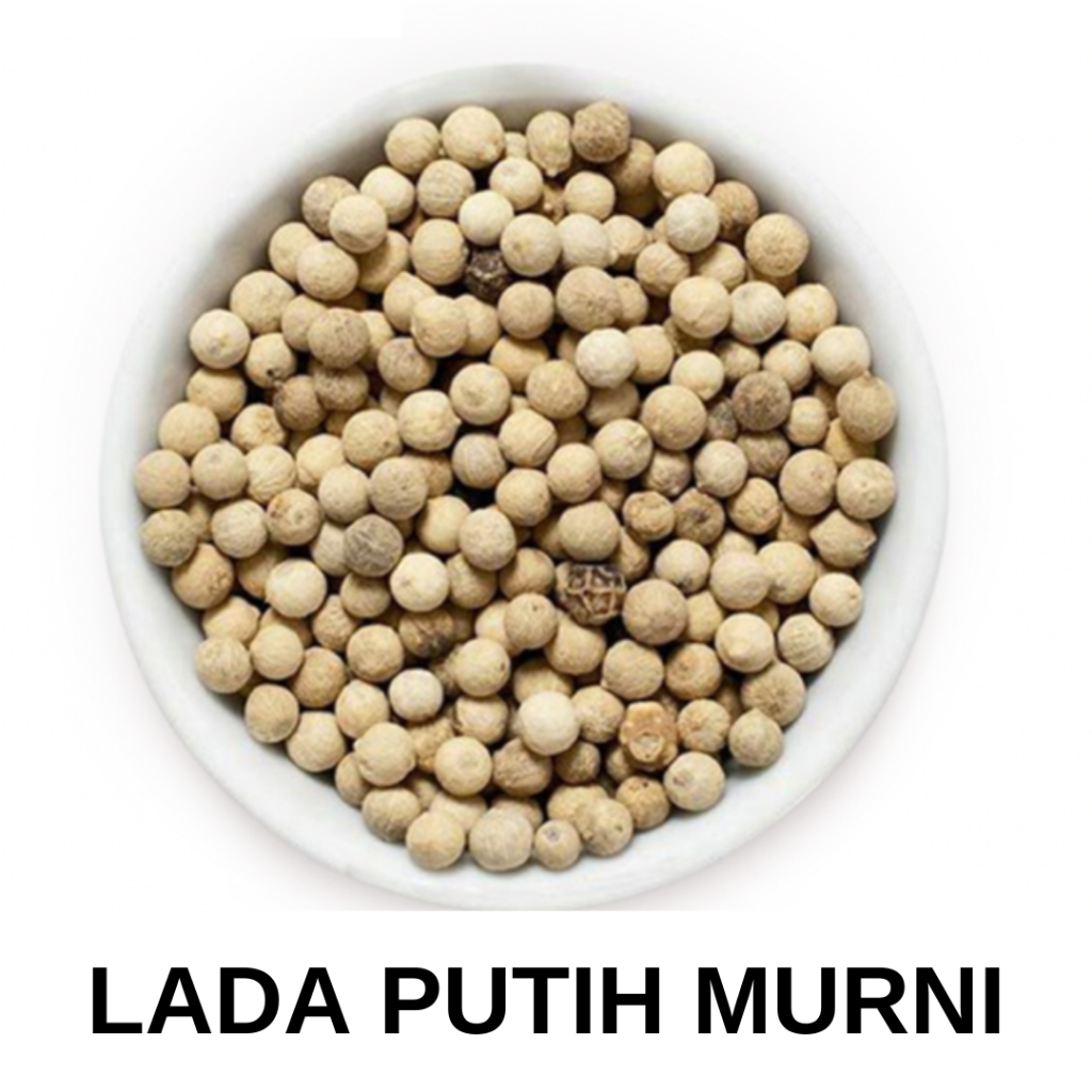 

Lada Putih Murni Kualitas Ekspor 100gr - 1kg