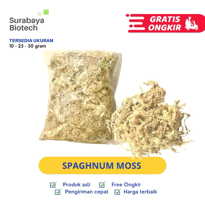 Sphagnum Moss putih - lumut hidup media tanam | spagnum spaghnum lumut 25gr