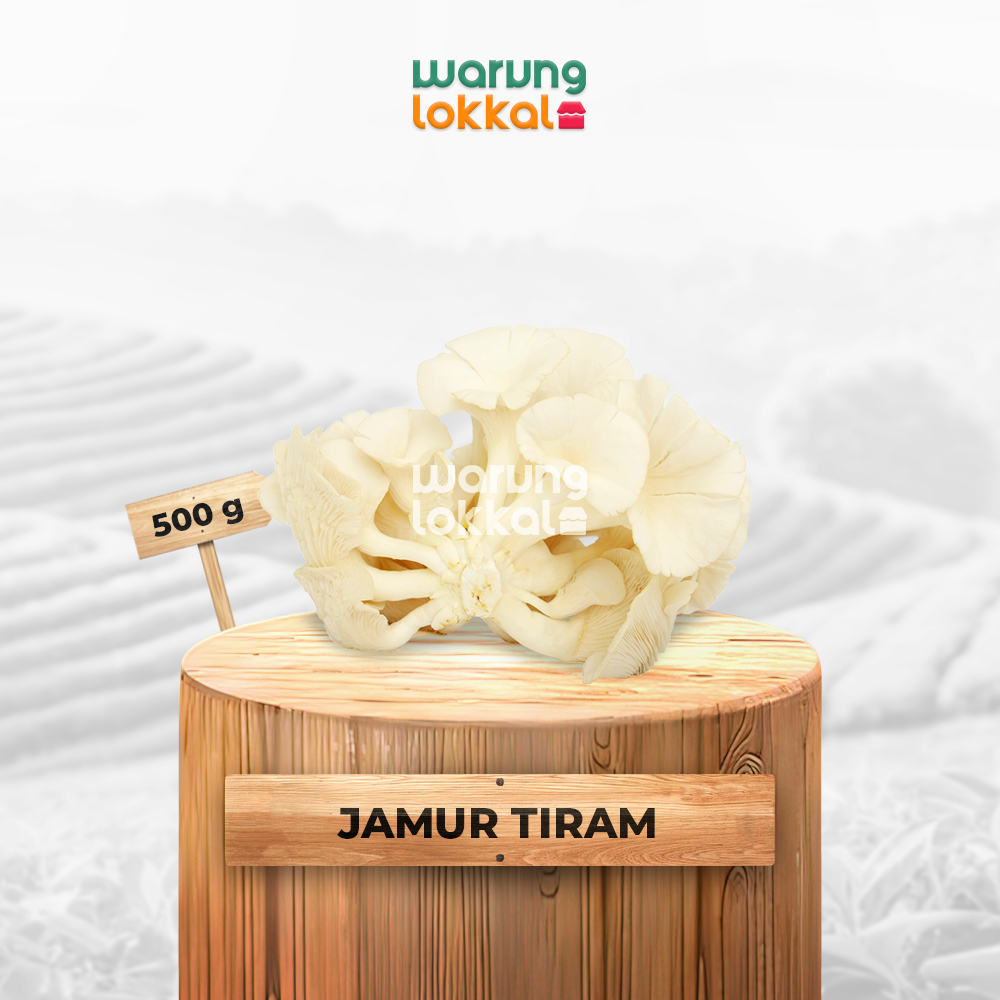 

Jamur Tiram 500g - Warung Lokkal