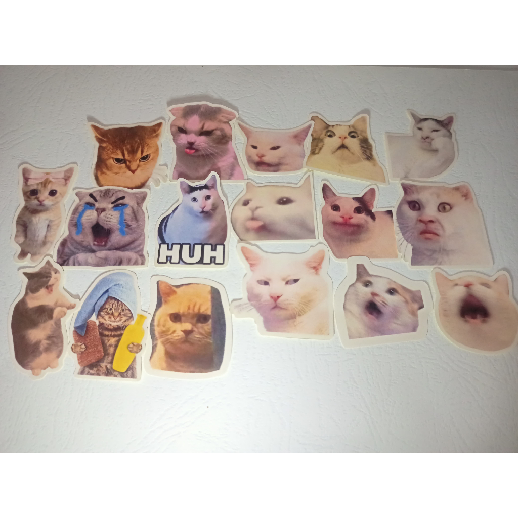 

[51/35 BIJI] STIKER MOTIF MEME KUCING LUCU ESTETIK | AESTHETIC STICKER CAT MEME MODE | SUDAH CUTTING | GLOSSY | JOURNALING | SCRAPBOOK | LUCU | MENARIK / STIKER BUKU