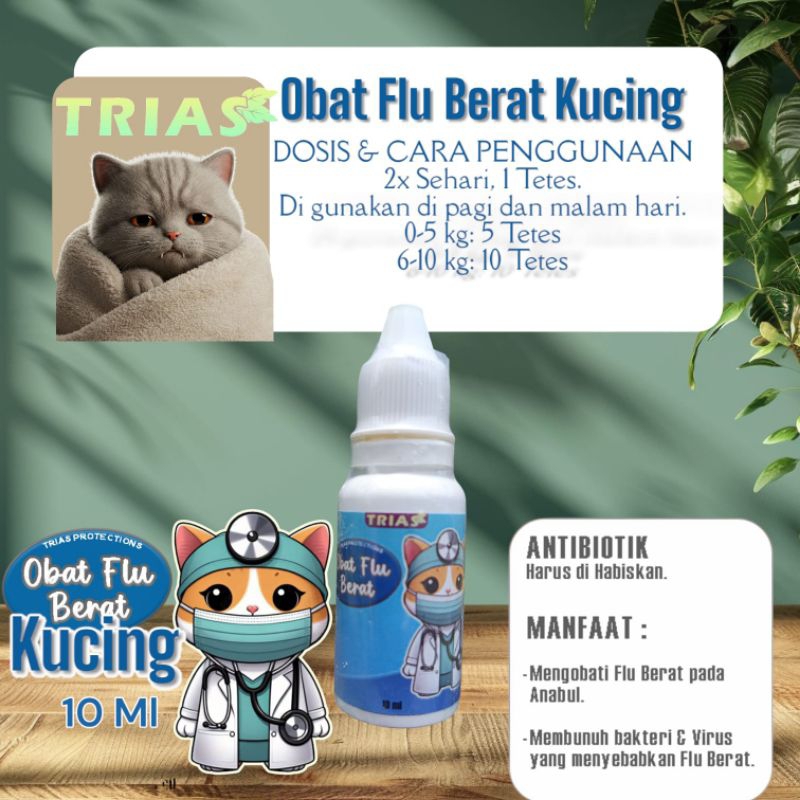 Obat Flu Kucing Ampuh: Sembuh Cepat & Tuntas/Bye-bye Flu Kucing/Kucing Flu Berat? Ini Solusinya Tete