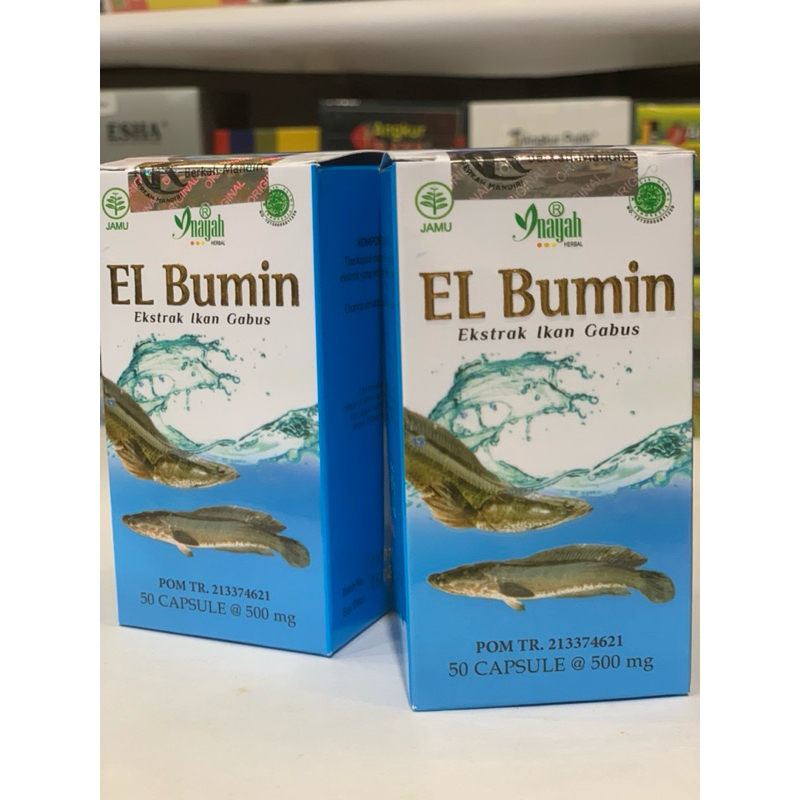 Albumin ekstrak ikan Gabus/Haruan menyembuhkan luka