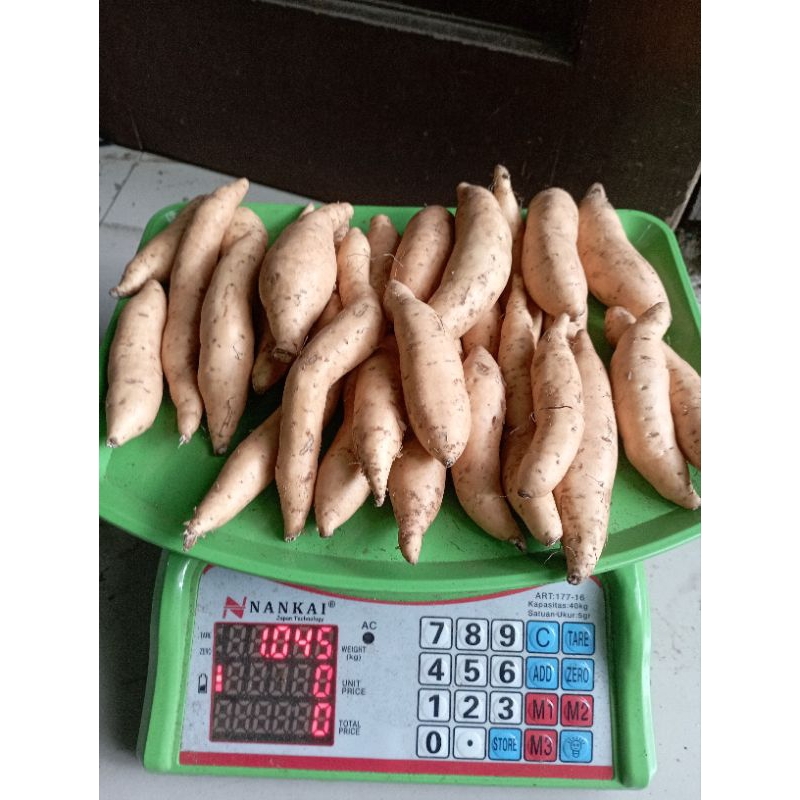 

Ubi cilembu baby honey 1kg isi banyak