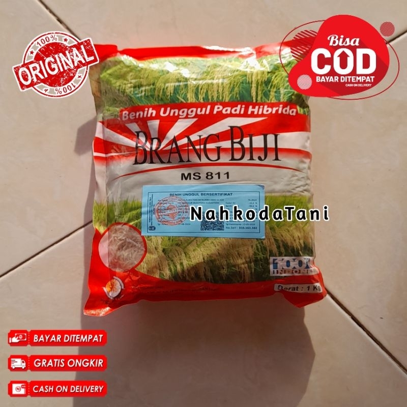 Benih padi hibrida BRANG BIJI 1kg