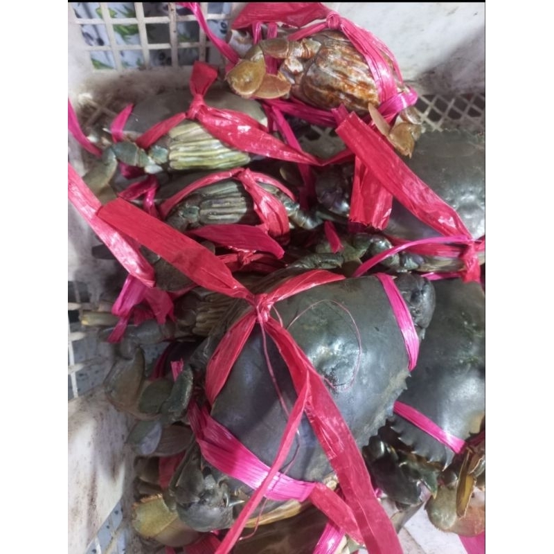 

kepiting