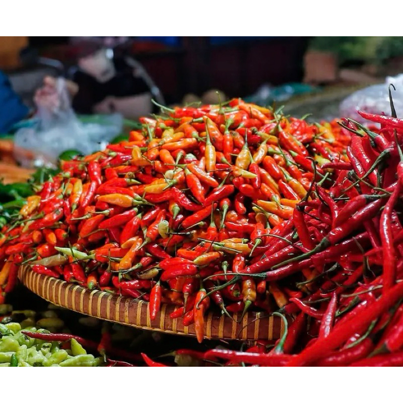 

Lombok Biji Rawit Merah Cabe kecil - Ratu Pasar Murah Makassar