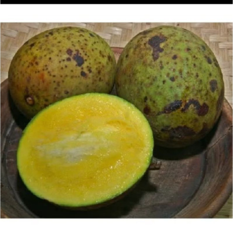 

Buah pakel/buah limus segar