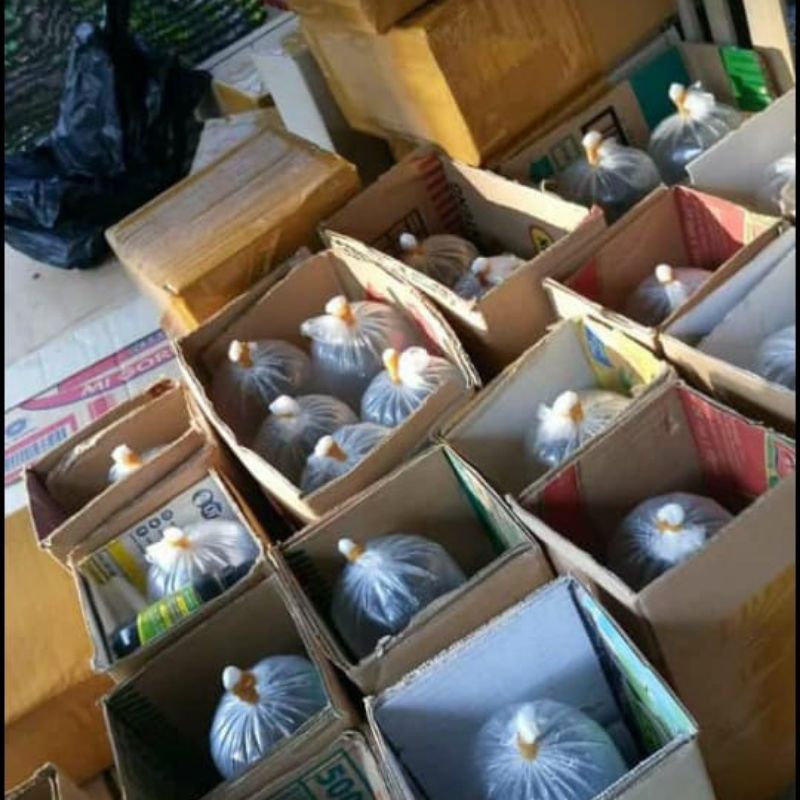 

dus bok kosong buat paktan serba guna