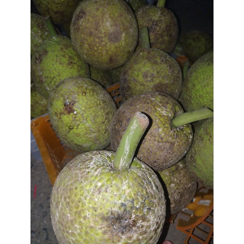 

Sukun