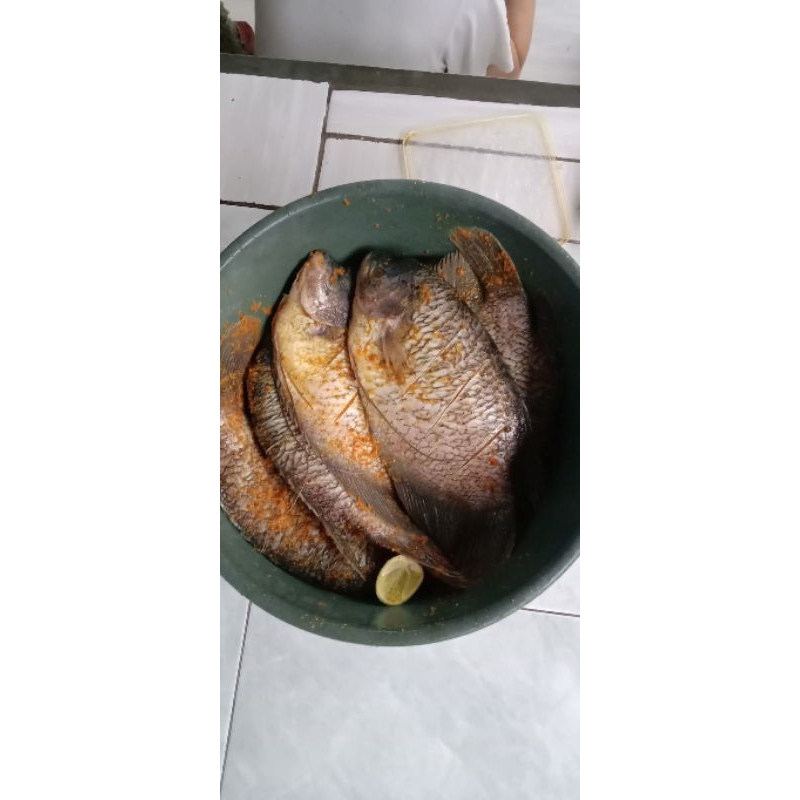 

gurame fresh 1kg ( bukan frozen)