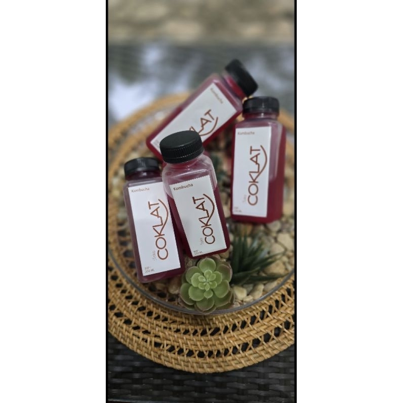 

Kombucha (minuman fermentasi dari teh dan buah)