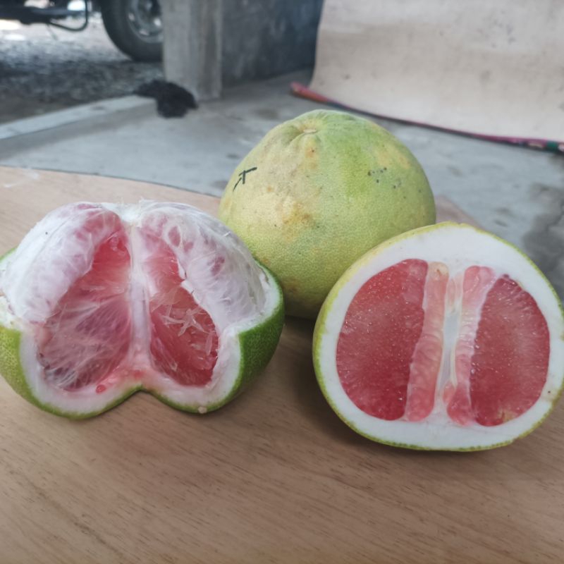 

Jeruk Bali / Pamelo Murah Merah Manis