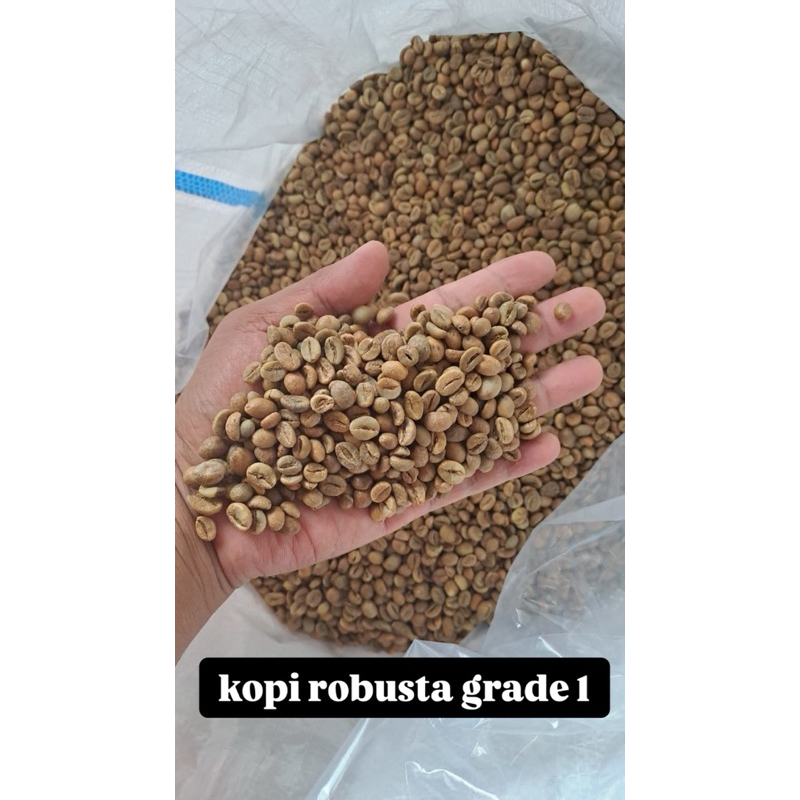 

Kopi robusta asli kerinci jambi