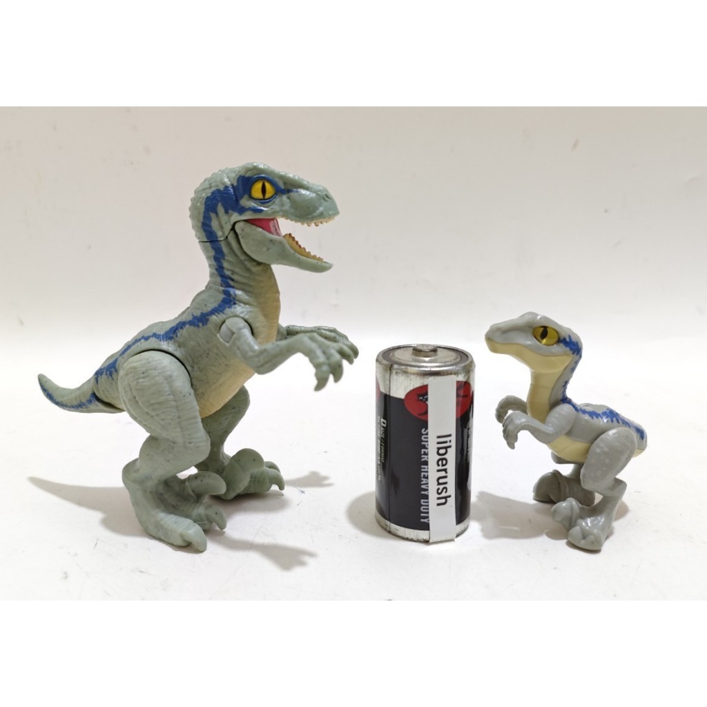 Set jurassic world hatch n play velociraptor blue action figure dinosaur , fisher price imaginext ve