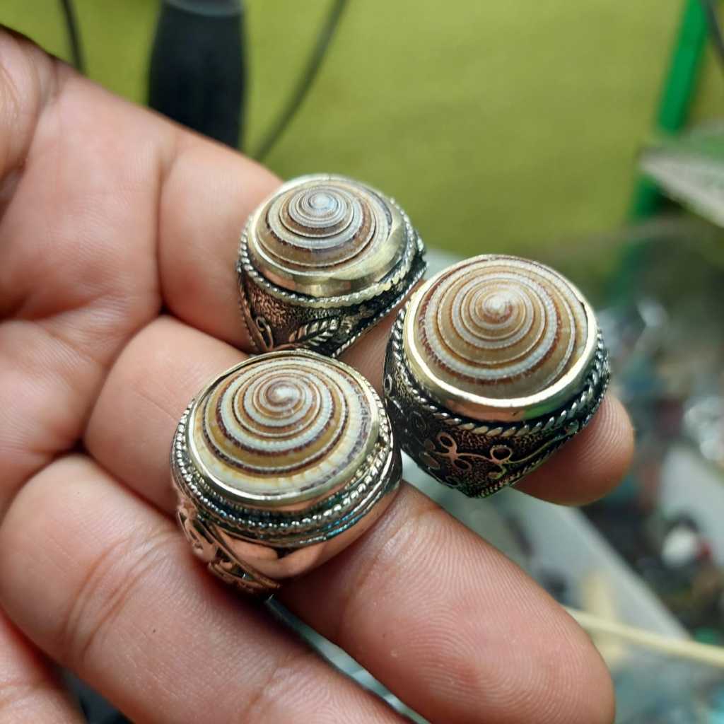 Cincin batu keong kul buntet asli keong pusar bumi