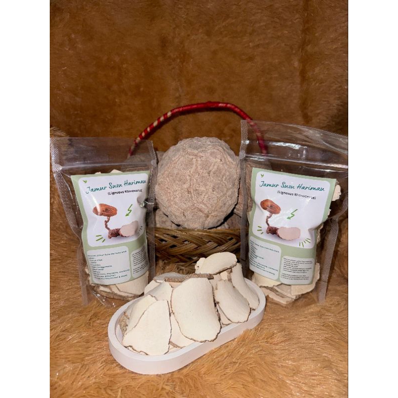 

Jamur Susu Harimau / Tiger Milk Mushroom