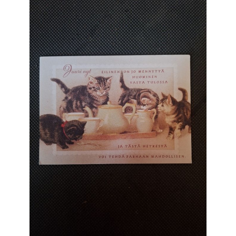 

kartu pos kucing/cat postcard