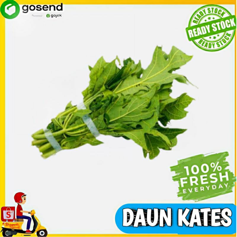 

Daun kates per ikat - Sayuran segar - Tukang Sayur Palembang