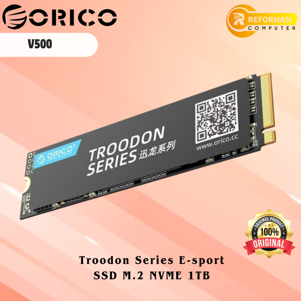 ORICO 1TB SSD M.2 NVMe 2280 TROODON SERIES - V500-1TB