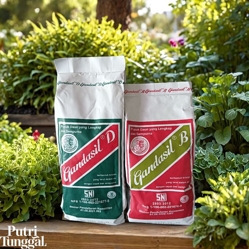 Gandasil B dan Gandasil D