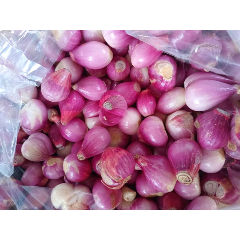 

Bawang Merah Kupas.