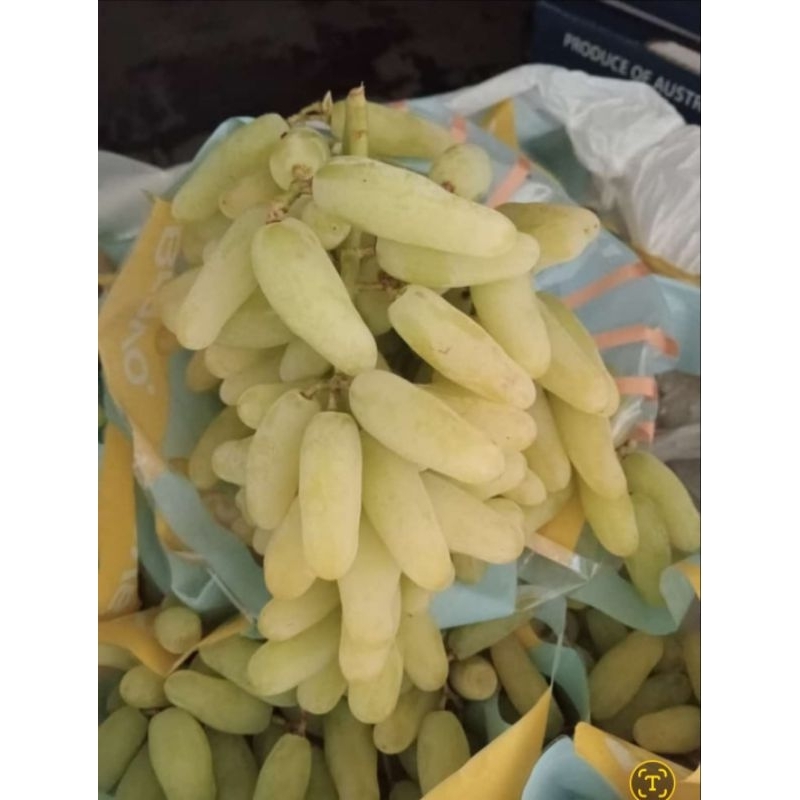 

Buah Anggur Sweet Angie Seed | Anggur Jari 1 Kg