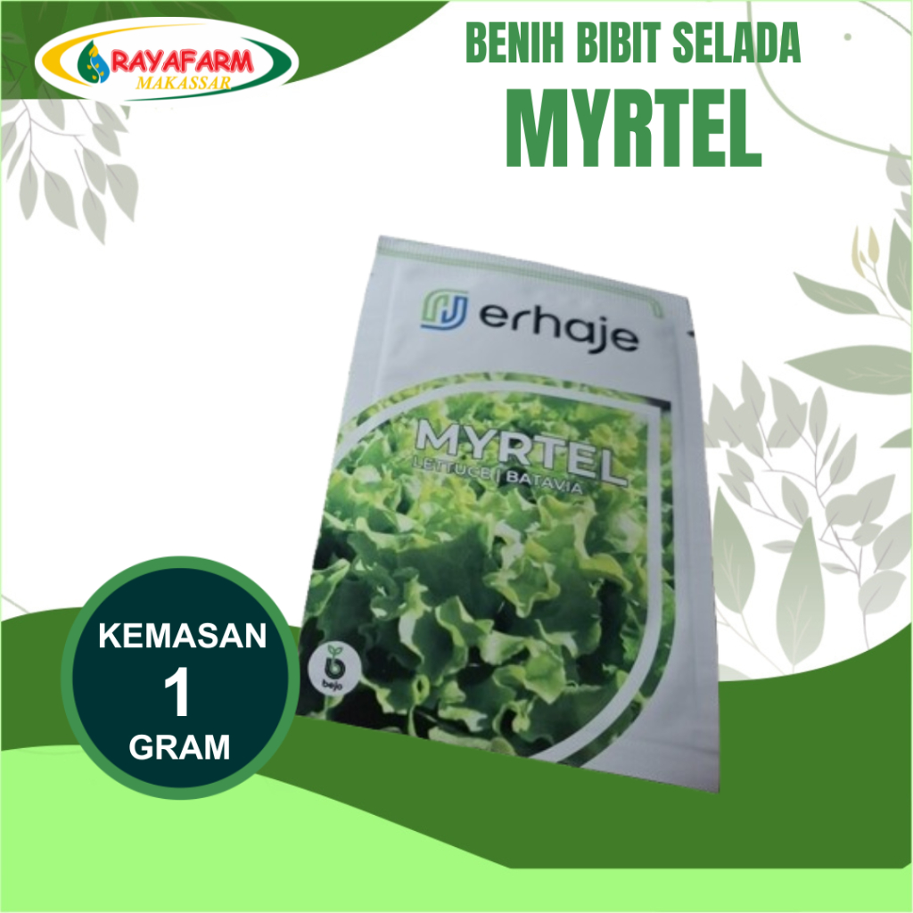 Benih Bibit Selada Myrtel 1gr - Bejo Seed