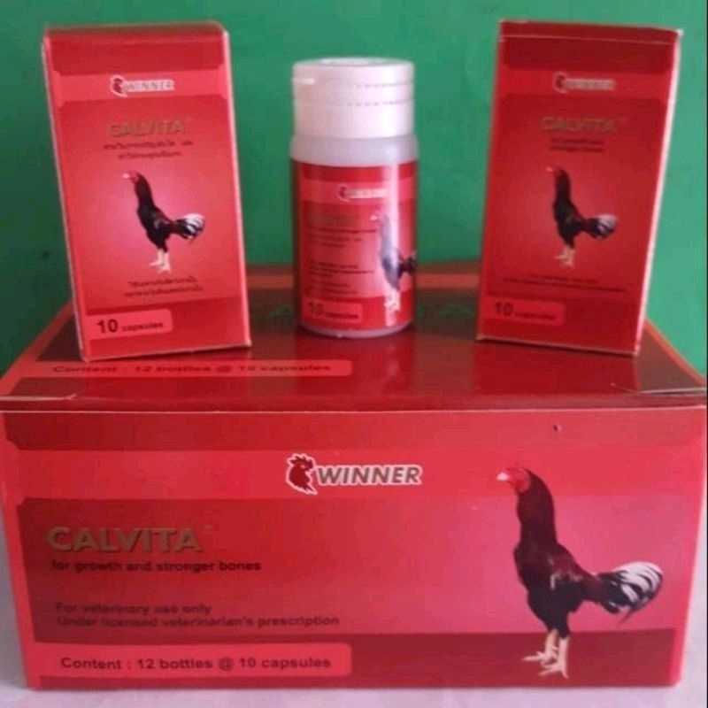 ALCIUM CALVITA WINNER PERBOTOL ayam tarung vitamin kalsium memperkuat tulang otot khusus ayam aduan