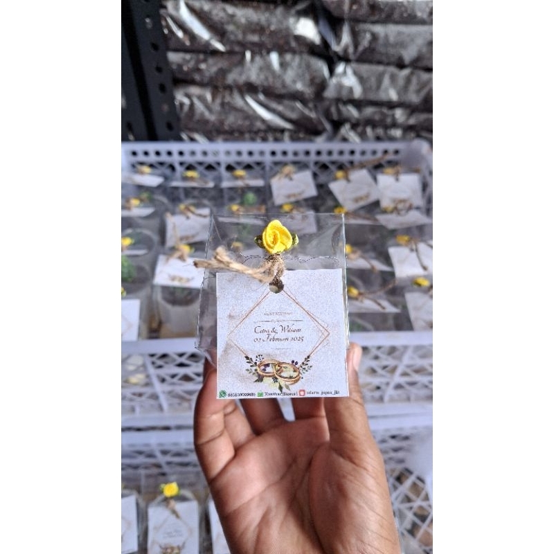 Infarm Florist - Souvenir Kaktus Suculen Tanaman Hidup Sovenir Harga Grosir ulang tahun Ramadhan Idu