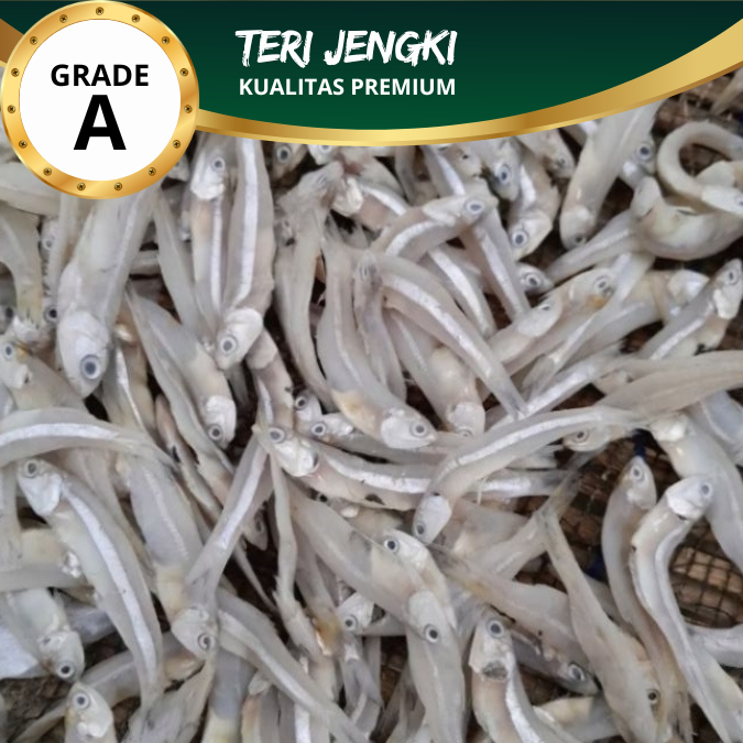 

Teri Jengki Asin Rebus Super Kering Termurah 1 KG
