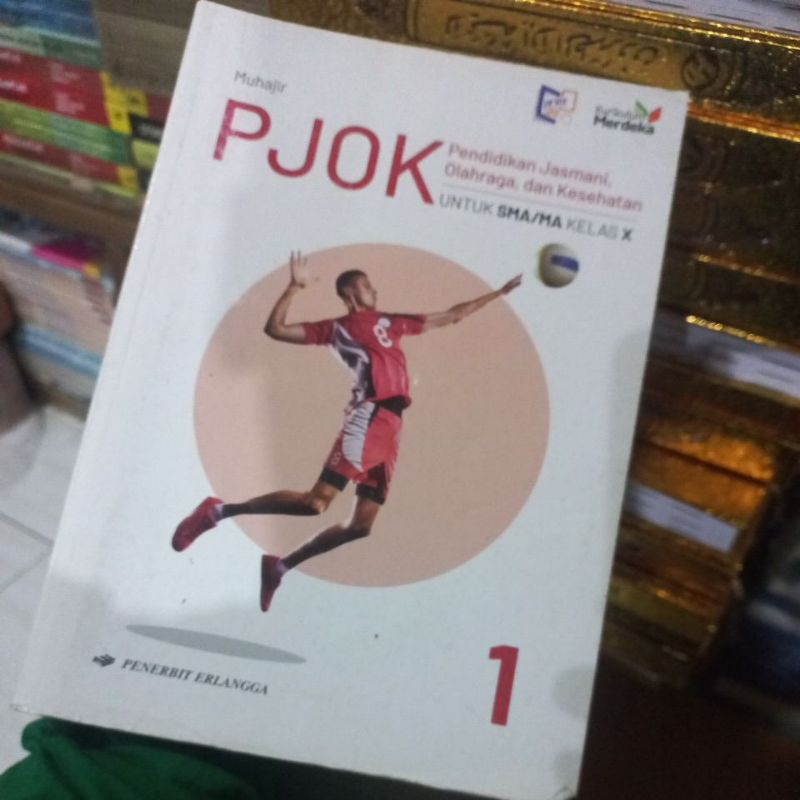 PJOK kelas 10 erlangga (bekas)