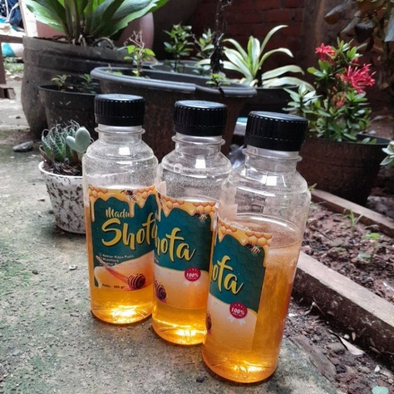 

MADU MURNI 100% Madu Shofa