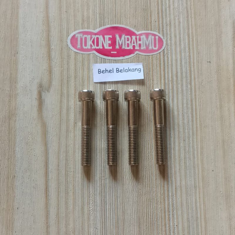 Baut Cover Behel Belakang Honda CBR 150 old / Lama CBU Thailand