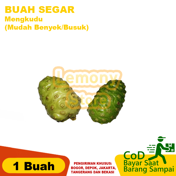 

Buah Mengkudu 1 pcs fresh tanpa pestisida BUAH MENGKUDU/PACE,HERBALALAMI,HIPERTENSI,DIABETES,KOLESTEROL