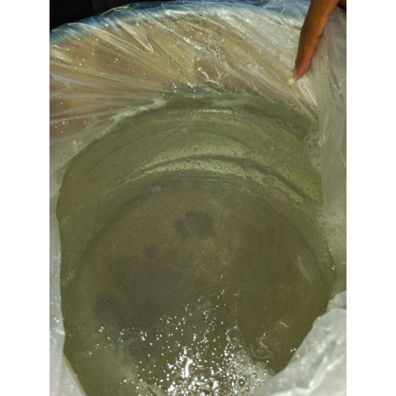 

CLEAR GLUE/LEM BENING 1LITER MURNI