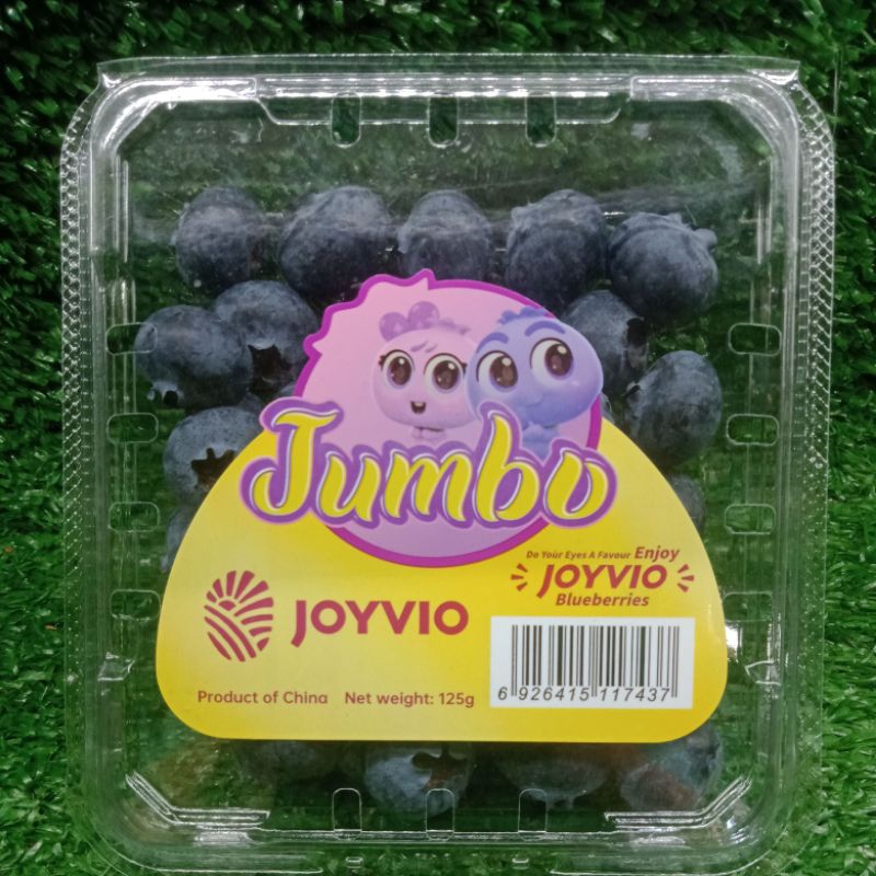 

Blueberry RRC Jumbo 125g /Buah Beri /Manis