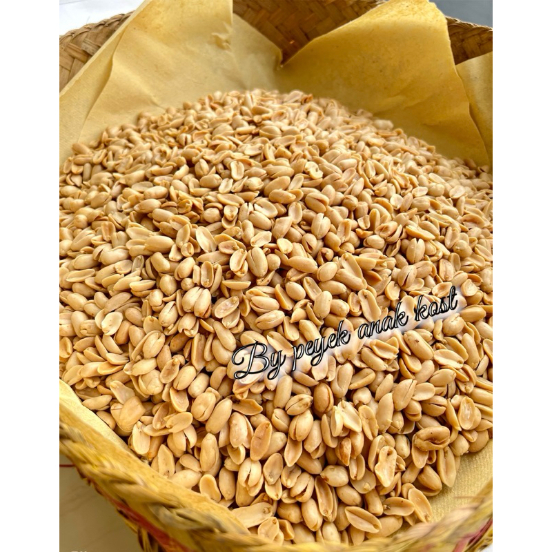 

Kacang Bawang Super Besar Renyah
