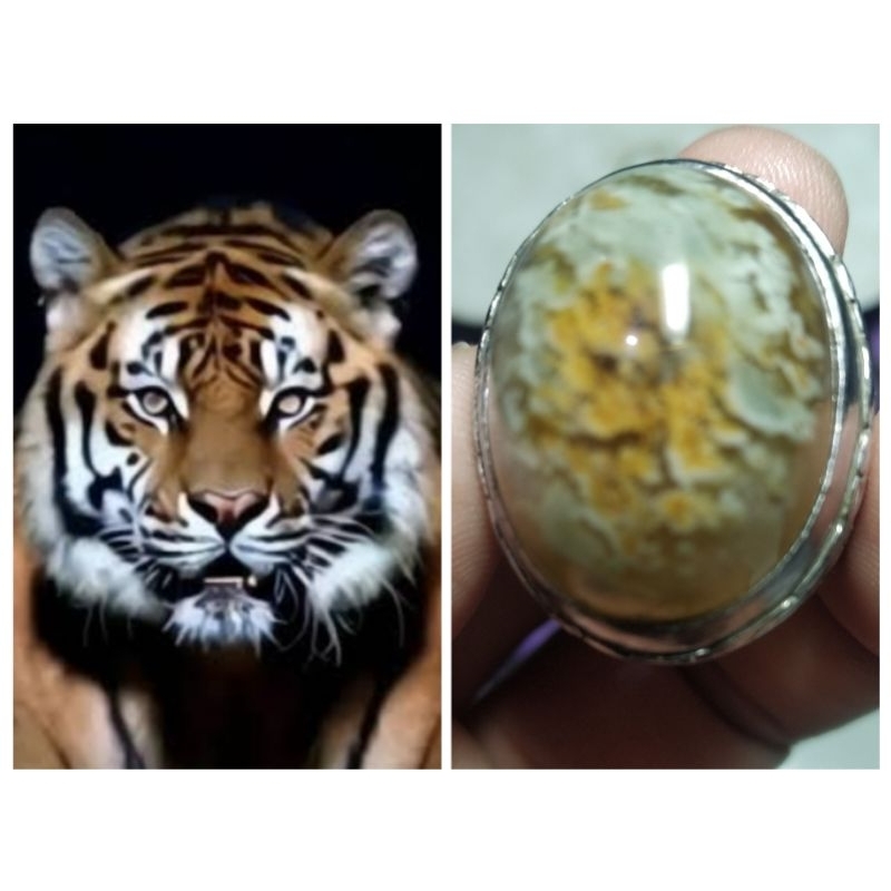 Batu Garut motif gambar Manusia Harimau Unik kode 15/314