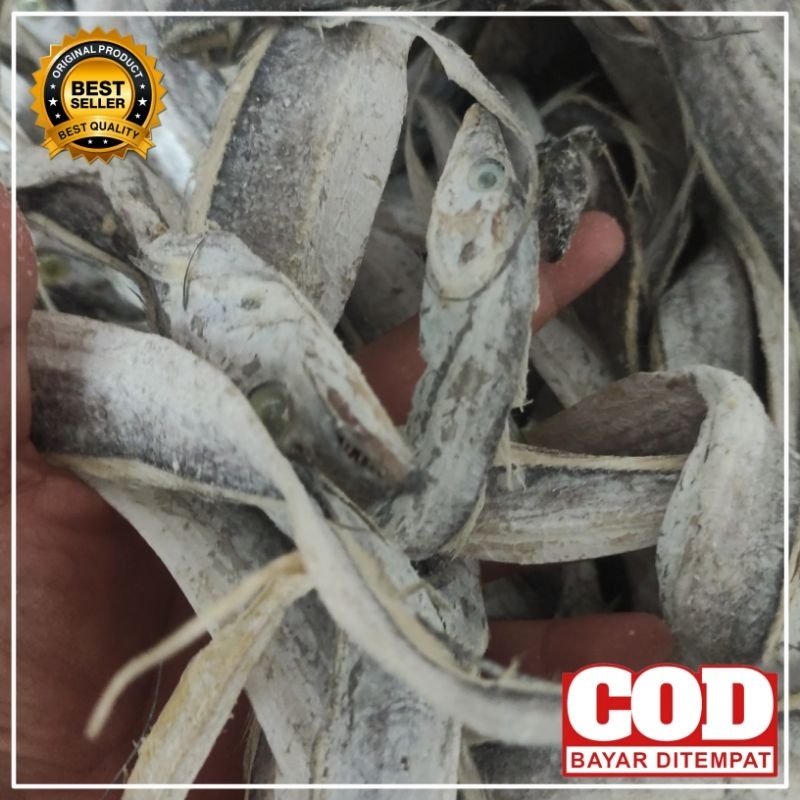 

Ikan asin layur besar khas Cilacap berkualitas 250g 500g 1kg