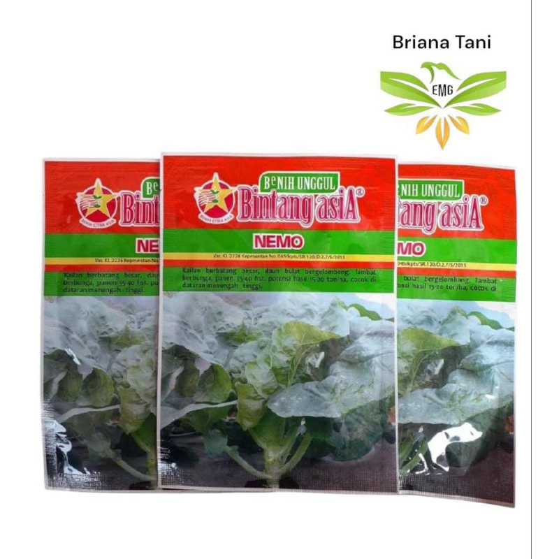 Nemo 10gr Benih Sayuran Sawi Hijau Kailan Bintang Asia 100% Original Nita Sakura