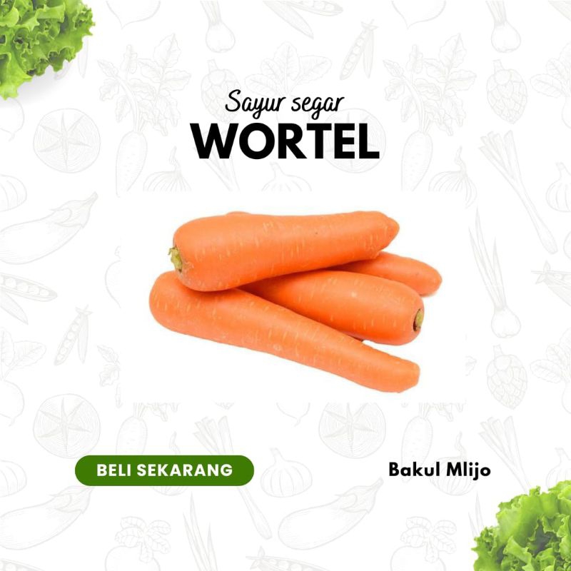 

WORTEL LOKAL FRESH SEGAR 500GR 1KG / WORTEL JUS PREMIUM SAYUR SEGAR SIDOARJO / BAKUL MLIJO SIDOARJO