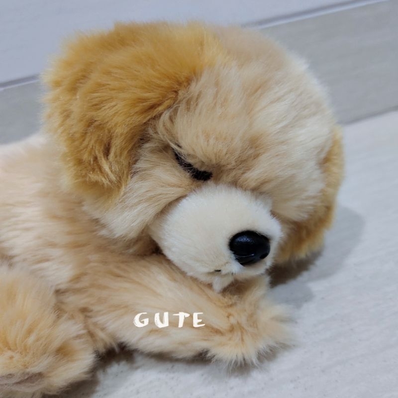Boneka Anjing Golden sleeping
