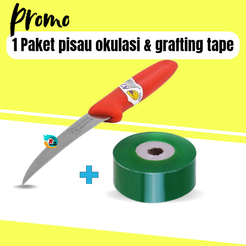 Paket Grafting Plastik Okulasi Pisau cangkok grafting okulasi