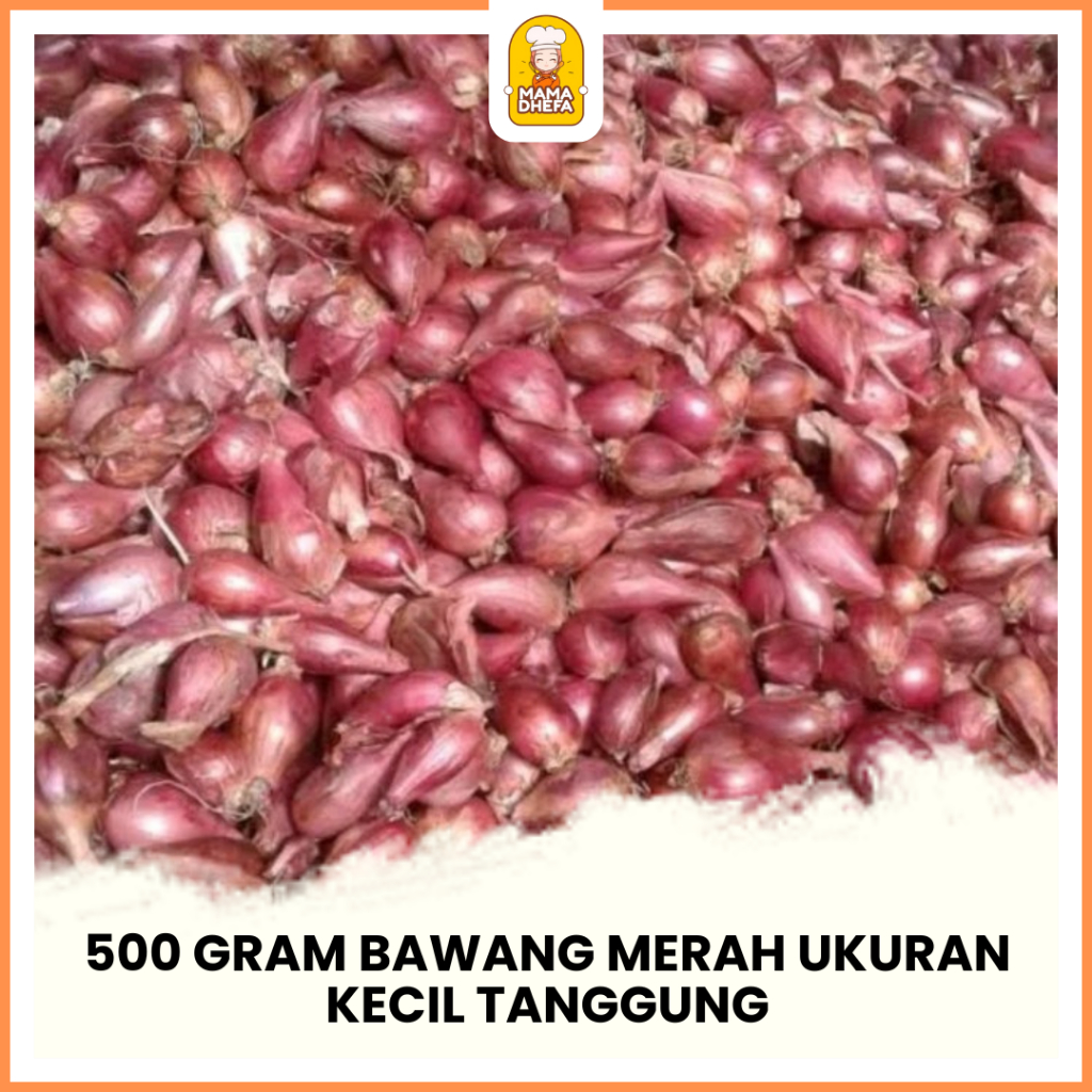 

Bawang Merah Ukuran Tanggung Kecil 500Gr Kering Fresh