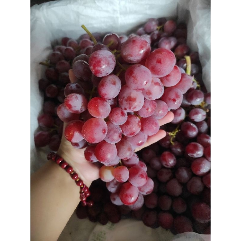 

Buah Anggur Merah