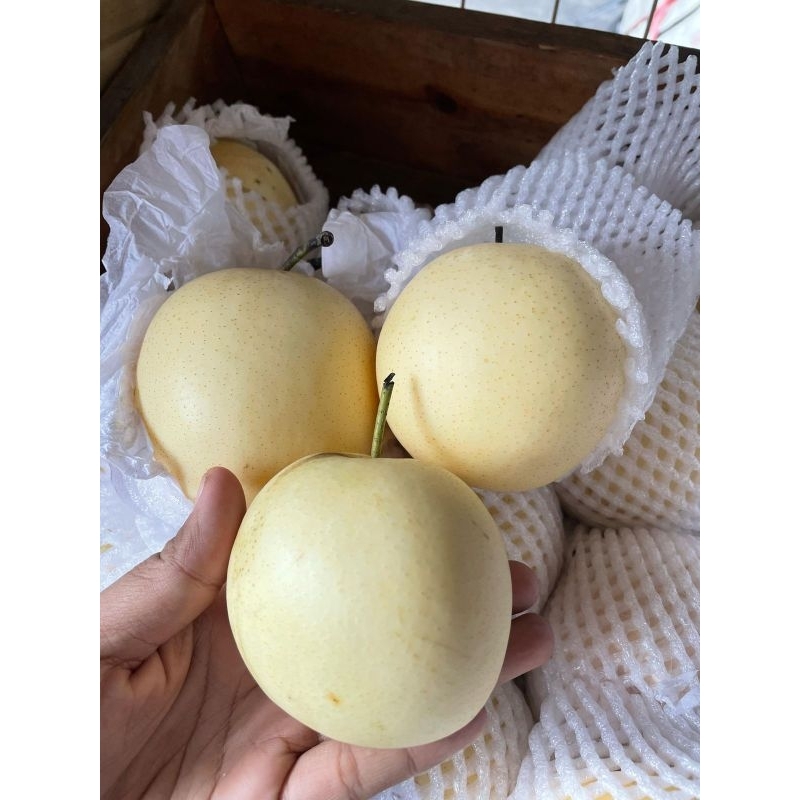 

Pir Century Fresh - Manis, Segar & Renyah