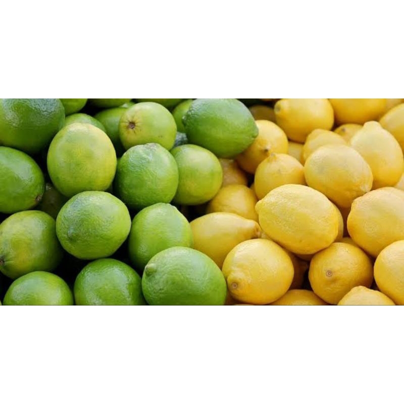 

buah lemon fres 1 kilo 20000