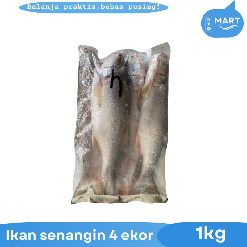 

ikan senangin isi 4 segar beku 1kg